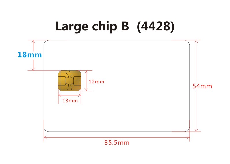 Large chip B